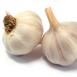 Garlic 450x450