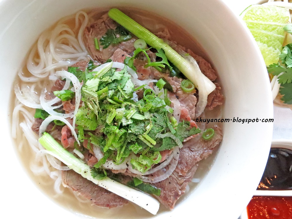 the national dish of Vietnam - pho