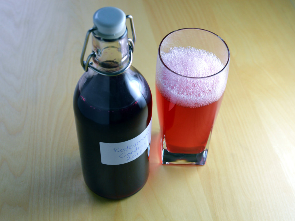 Swedish red currant cordial