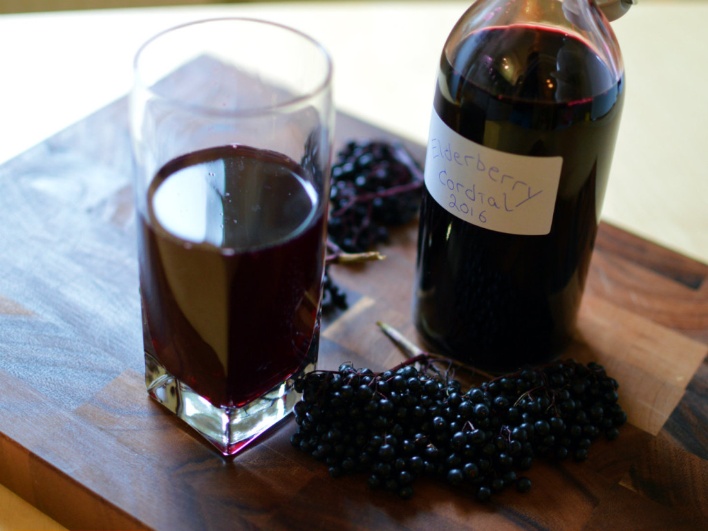 Elderberry cordial