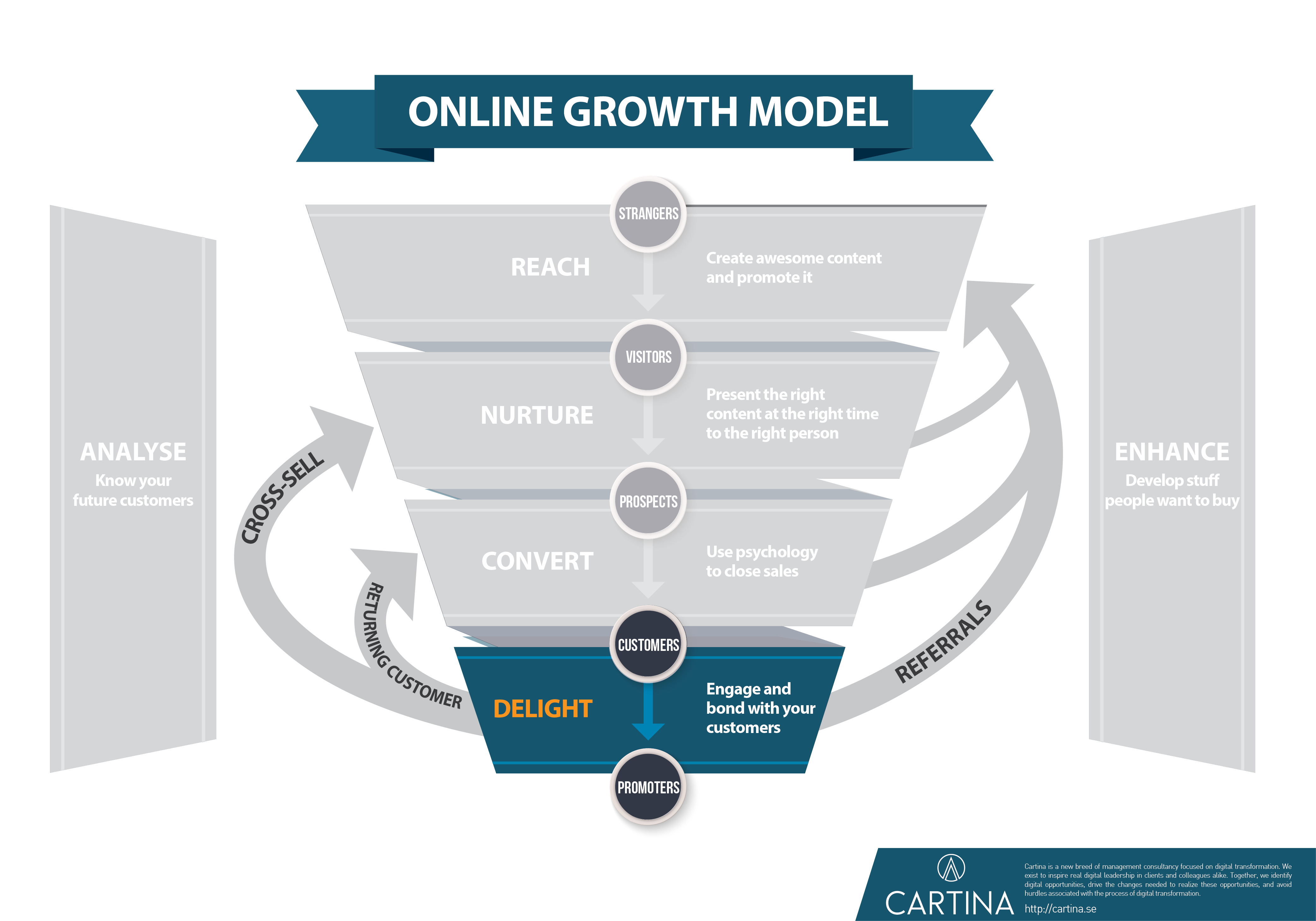 Growth model - Delight step