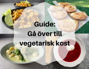 Guide gå över till vegetarisk kost